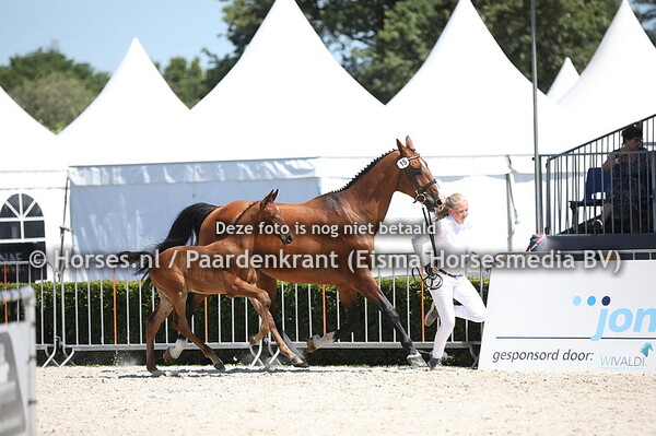 15 Olympus H (Jukebox x Ecarla (v. Up to Date) (1)