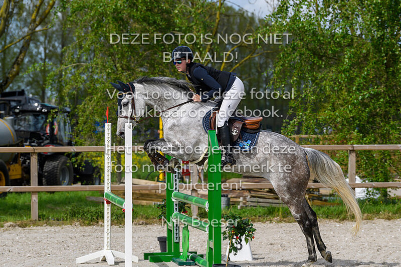 5 Paarden Klasse 80-90cm