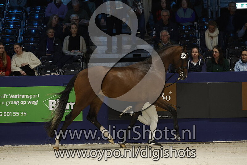 Robin Des Bois v. Ferguson - 345