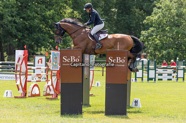 Maarsbergen horsetrails, CCI4- Jumping