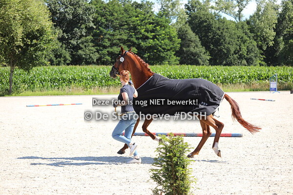 1. Merries 4j en ouder dressuur