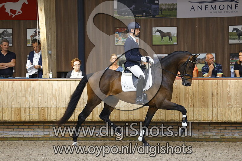 Mafioso BD v. Desperado