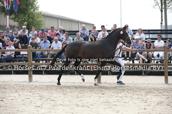 127 Lucky Bria (Ferguson x Wibria v. Ferro)