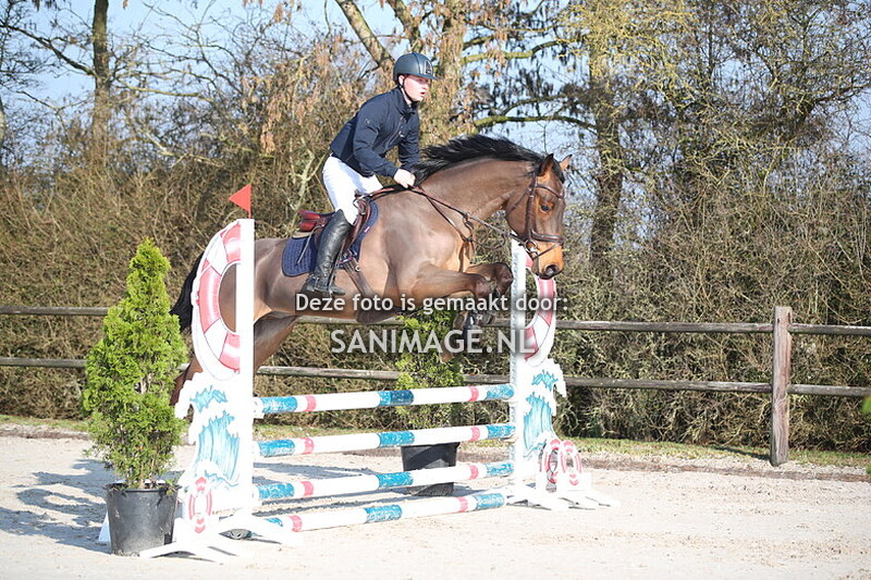 Stal Groenendaal springen paarden 09-03-2025 80 cm Stijl