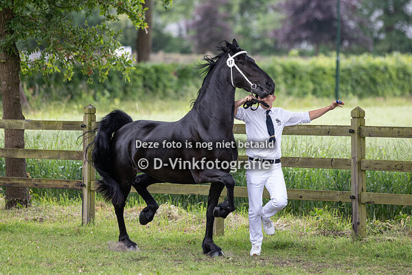 17. Tina Hertsje A.B.