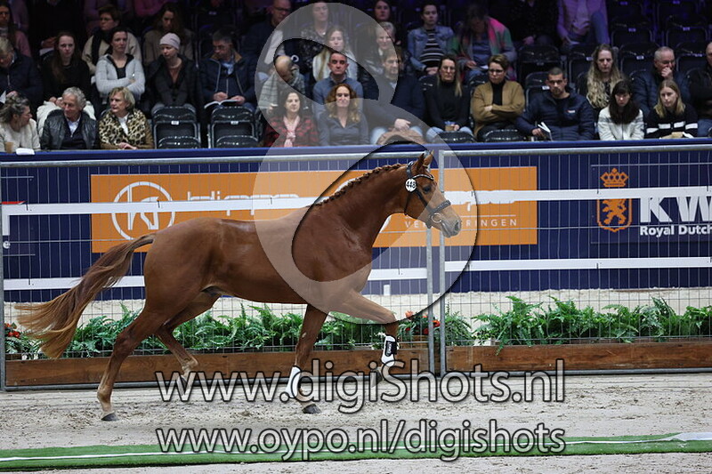 Sergio Leone US v. Morricone