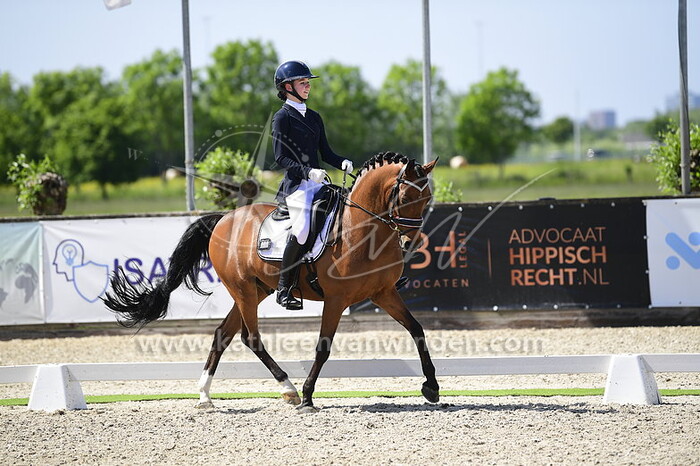 Noah de Bruin - Nelson