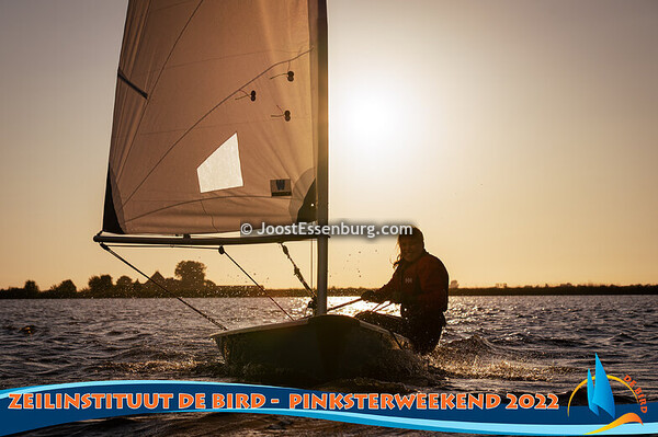 De Bird - Pinksterweekend 2022