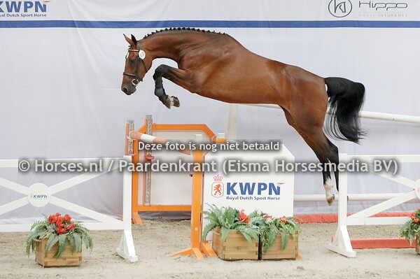 05-08-22 NMK en NVK springen