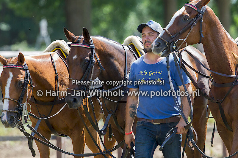 Diamond Way Cup 2017