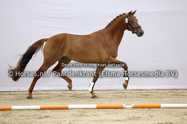 435 (Livius x Daily Diamond)