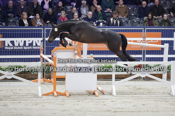 107 Popstar (Ipstrhar x  Lapatera Ryal K v. Zapatero VDL)