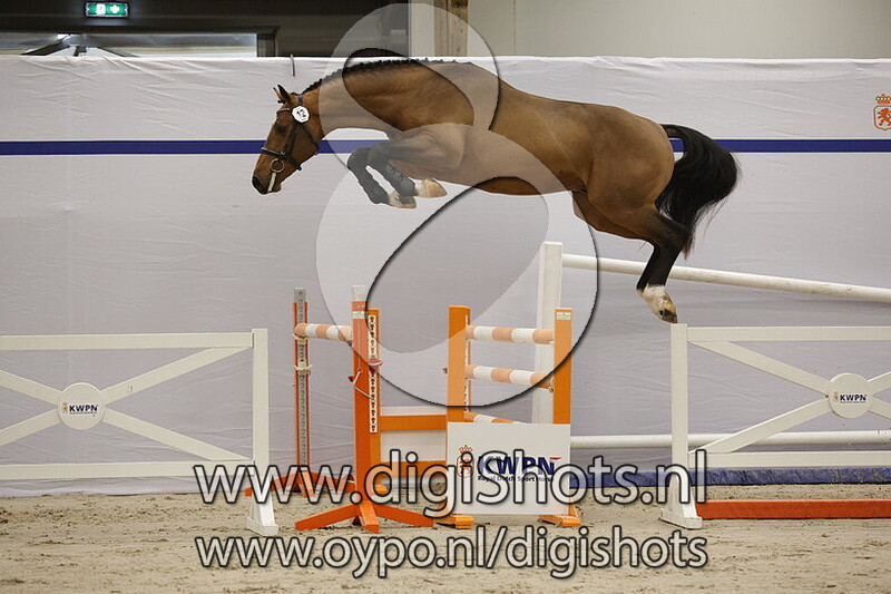 Special VDL v. Balou du Reventon