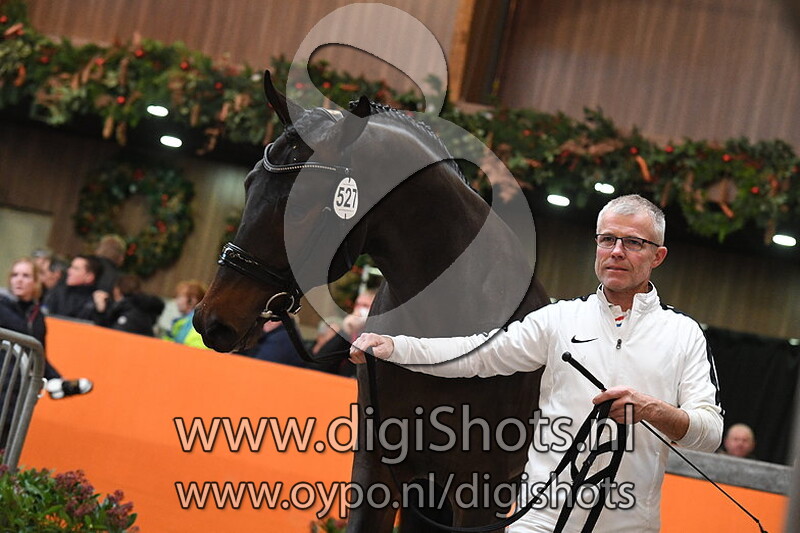 Matisse W v. Schwarzgold