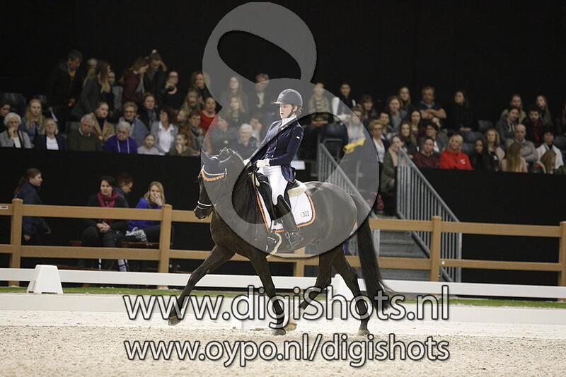 Mastro's Night and Day