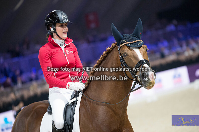 Show jonge paarden + BWP Dressuur