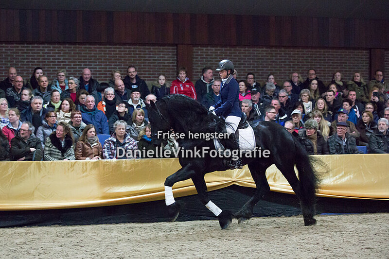 Hengstenshow Lunteren 24-02-2018 - Jorn 430