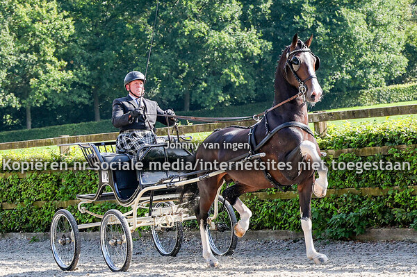 Aanlevering hengsten 2025