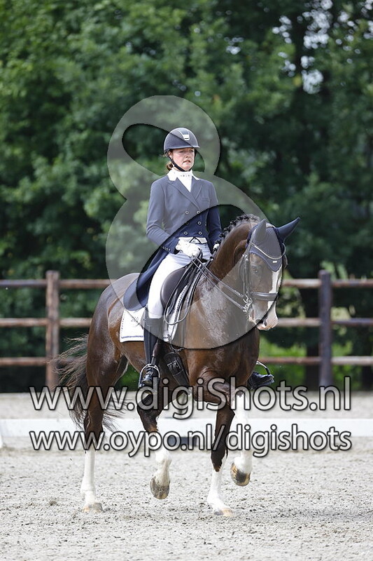 Django van de Wateringh