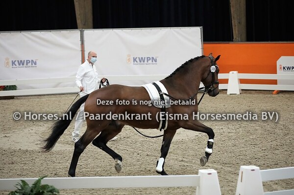 386 (Ferguson x Jazz)