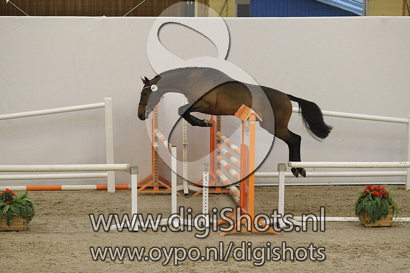 101 Linus M v. Etoulon VDL