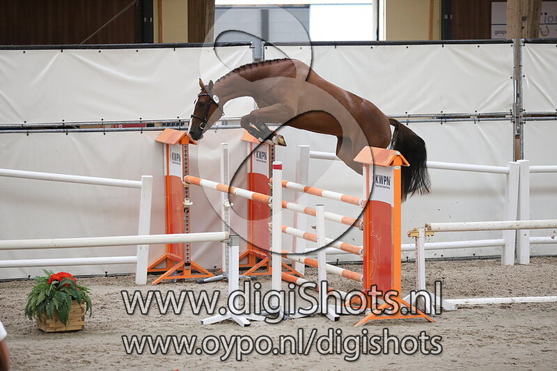 Karma Balia Blue SMH v. Zirocco Blue VDL