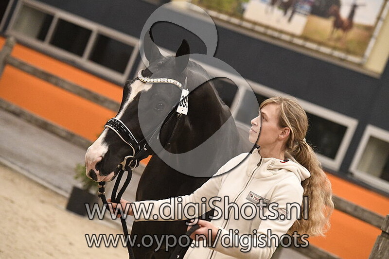 Napoleon v. For Ferrero