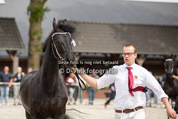 19. Violetta Valentina Frieschwijk