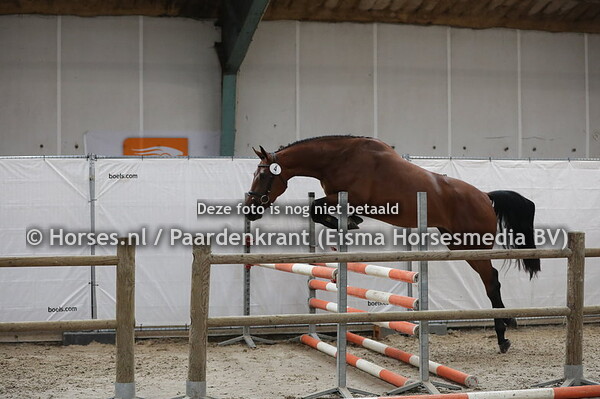 4 Mahlisa (Etoulon x Channe v. Alicante)