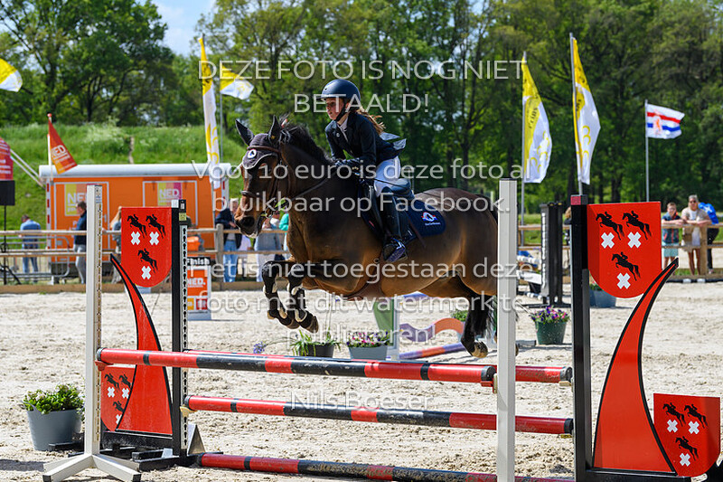 S16 Springen DE 80cm