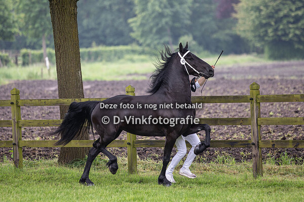 12. Rikst fan de Greidpleats