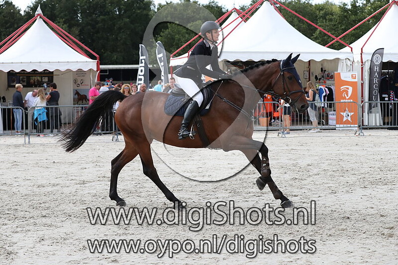 Springen Verenigingskampioenschappen