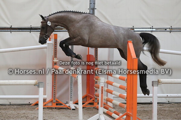 69 Lolalista (Comme il Faut x Halista v. Quality Time)