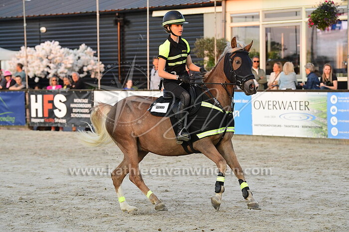 Yazmina Wahle - Dylan