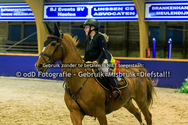 Geldrop Hippique Oefenspringen 100-110cm 11-10-24