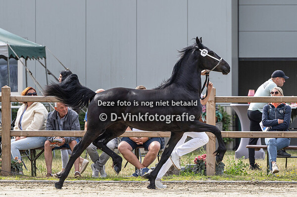 Rubriek 3 entermerries