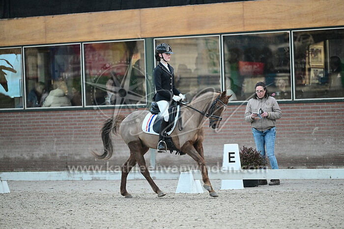 Josephine Huiskes - Freddy