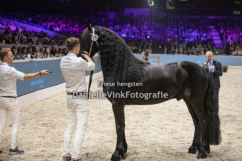 Hengstenkeuring 2024 Elger 536