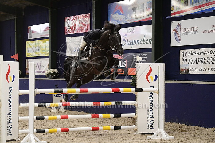 Niels Brussen - Maximal