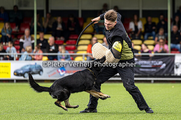 Lot nr 3 Bea Lieder Schild