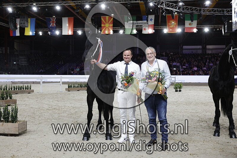 Yke van de Hamelspoel