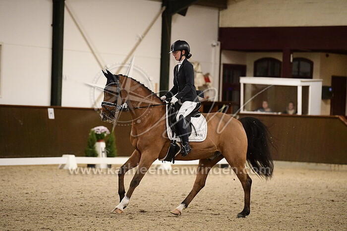 Senna Dolphijn - Nick