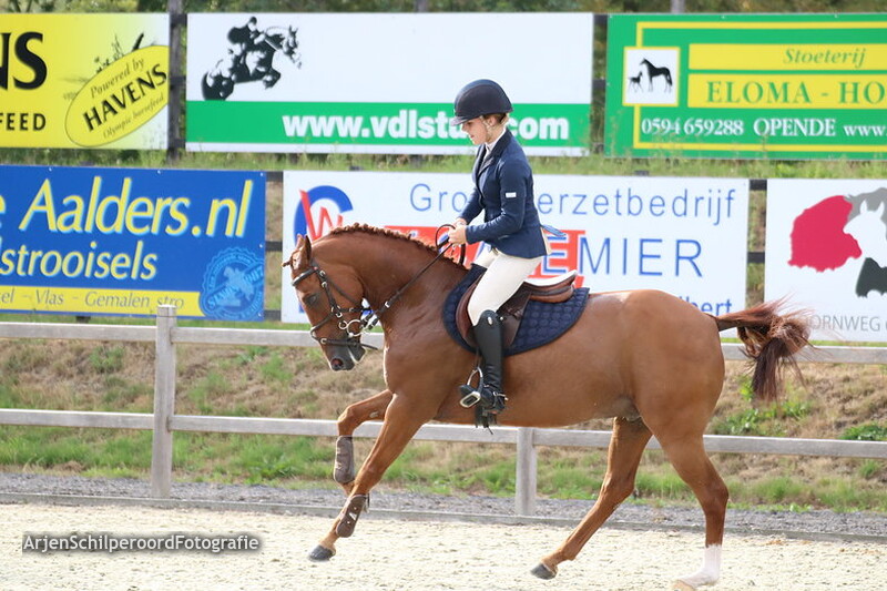 Tolbert 01-08-2019 Pony's