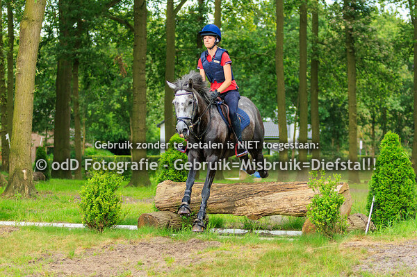 Trainingen Margo Millstream Groep 5 16.00  29-06-24