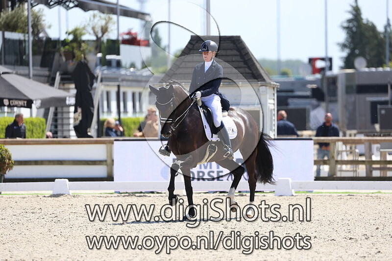 Kardinale Utopia RS2