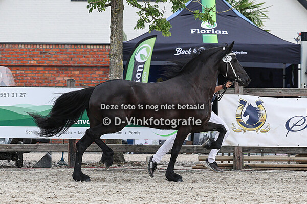 82. Teartske van Dijkstra State