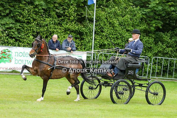 Hackney kleine Limiet
