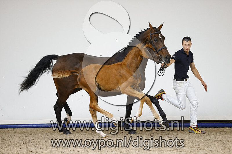 Promes v. For Romance