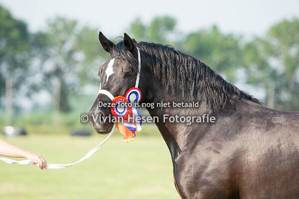 Regionale keuring heerjansdam