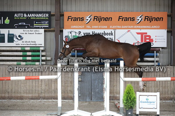 20 Mac Flurry (Grandorado TN x Zerzante v. Mermus R)